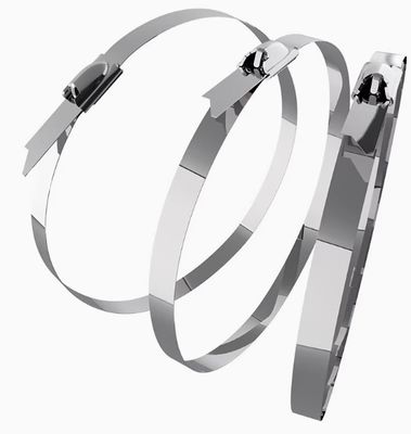 7.9*600mm Cable self-locking tie 304 316 in acciaio inossidabile